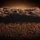What are you tracking? Tiny seedlings emerging from rich soil, reminding us that small changes become meaningful when we notice them.